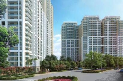 DLF Crest DLF Phase 5, Sector 54, Golf Course Road, Gurgaon.